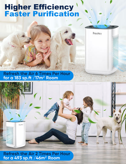 Air Purifiers P220, Air Purifier for Home, Large Room up to 1000 Ft², 3-Stage Filtration System, Removes 99.97% of Particles, H13 True HEPA Filter, Smoke, Allergies and pets, Timer, Sleeping much better