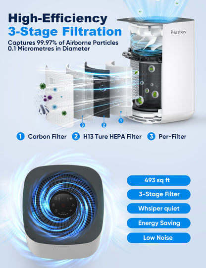 Air Purifiers P220, Air Purifier for Home, Large Room up to 1000 Ft², 3-Stage Filtration System, Removes 99.97% of Particles, H13 True HEPA Filter, Smoke, Allergies and pets, Timer, Sleeping much better